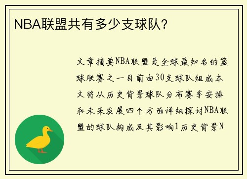 NBA联盟共有多少支球队？